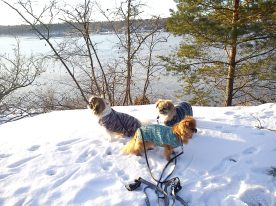 små mjuka stickade koftor är jätteskönt!