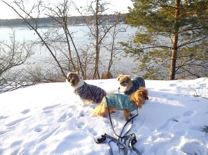 små mjuka stickade koftor är jätteskönt!