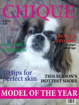 Our deeply loved dramaqueen.