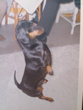 Bonnie, vill ha något.......... Maybe I will get something????