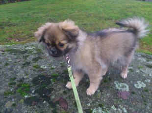 Lilla Lykke på 4-månadersdagen.