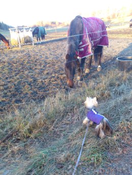 oj, vilket fint täcke d u har!