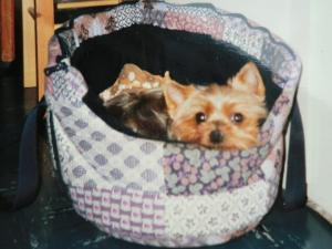 ginny