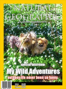 Två små vårfröknar år 2014.