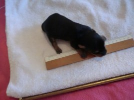 En av töserna den 12 april. 