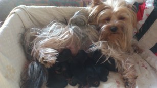 Lite trängt i hörnet men gosigt.