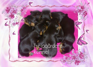 Frame_20150416_165200_20150416173939817